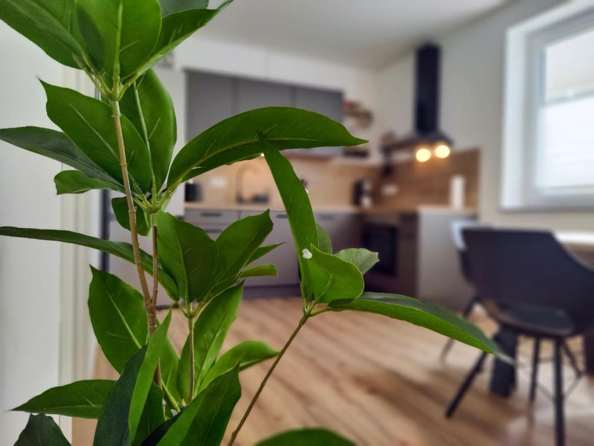 Hygge Home - Mit Garten Und Stellplatz Fuer Feriengaeste-, Monteure / Netflix / 10 Min. Zur Sinsheim Therme Und Zur Autobahn Exterior photo
