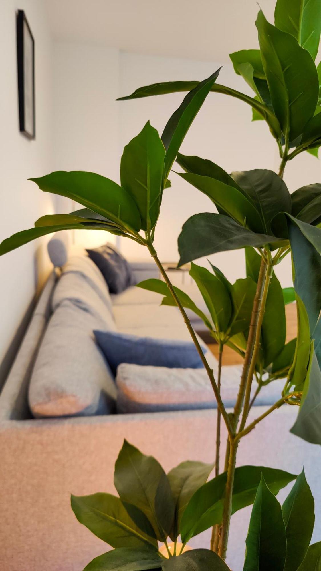 Hygge Home - Mit Garten Und Stellplatz Fuer Feriengaeste-, Monteure / Netflix / 10 Min. Zur Sinsheim Therme Und Zur Autobahn Exterior photo